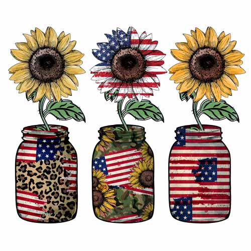 4th of july120