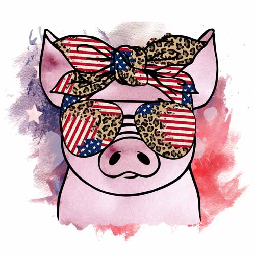 4th of july154