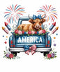 4th of july161