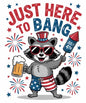 4th of july186