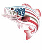 4th of july201