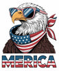 4th of july207