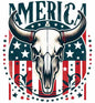 4th of july239
