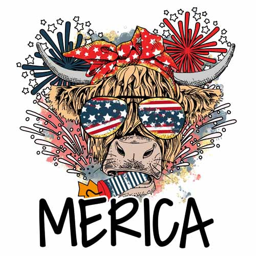 4th of july243