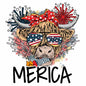 4th of july243