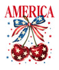 4th of july268