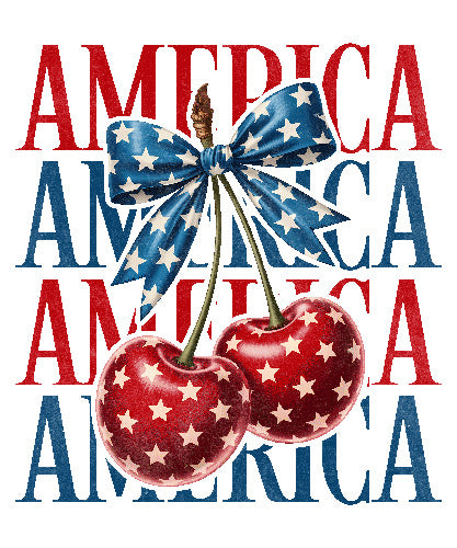 4th of july269