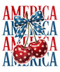 4th of july269