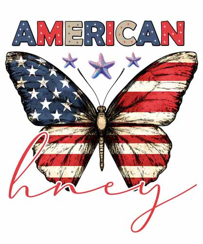 4th of july311