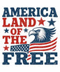 4th of july313