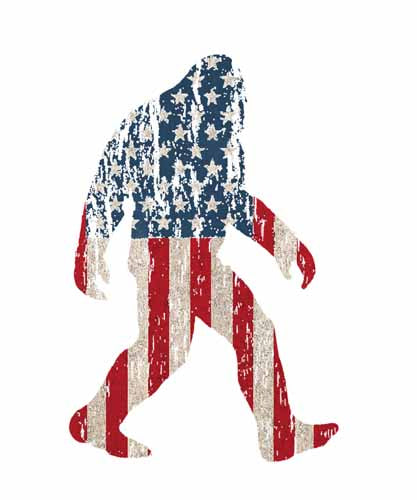4th of july343
