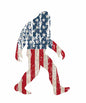 4th of july343