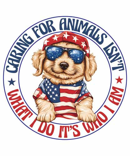 4th of july364
