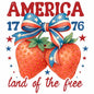 4th of july376