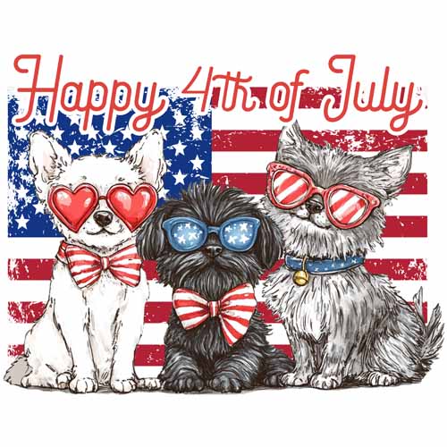 4th of july406