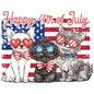 4th of july406