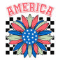 4th of july41