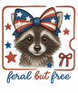 4th of july417