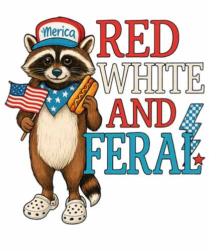 4th of july449
