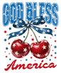 4th of july493