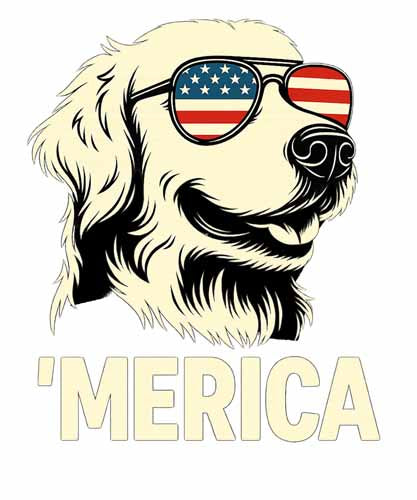 4th of july495