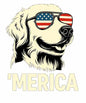 4th of july495
