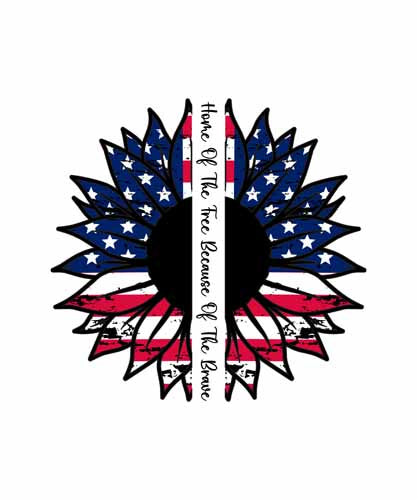 4th of july512