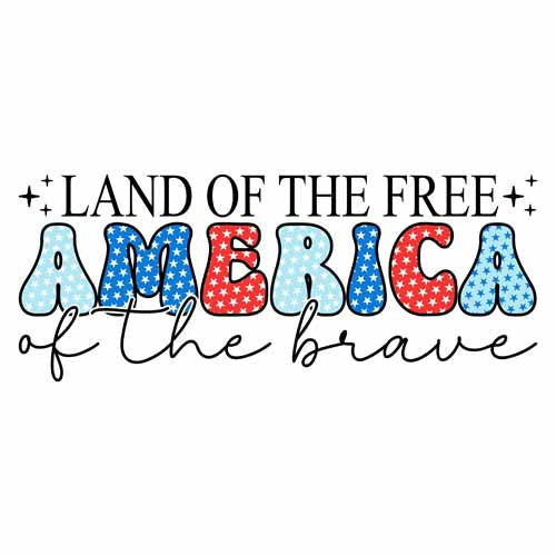 4th of july539