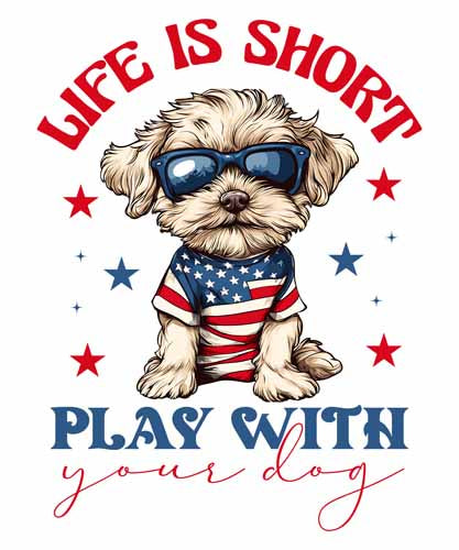 4th of july560