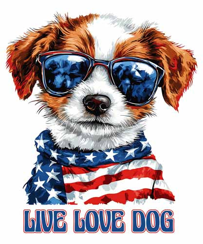 4th of july564