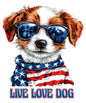 4th of july564