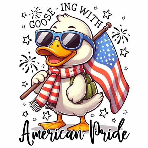 4th of july633