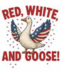 4th of july634