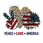 4th of july641