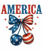 4th of july66
