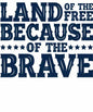 4th of july681