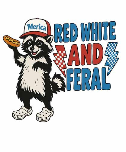 4th of july708