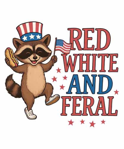 4th of july709