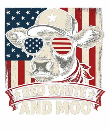 4th of july711