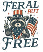 4th of july72