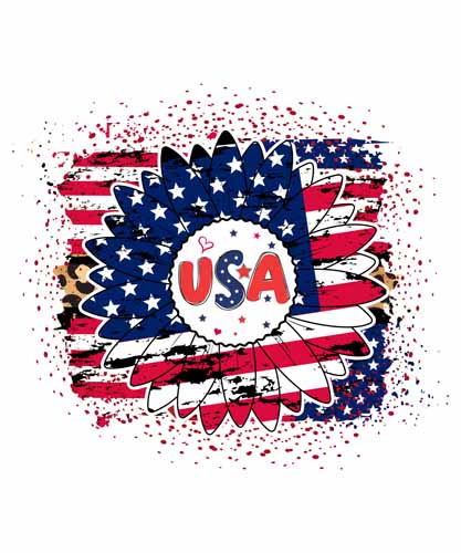 4th of july804