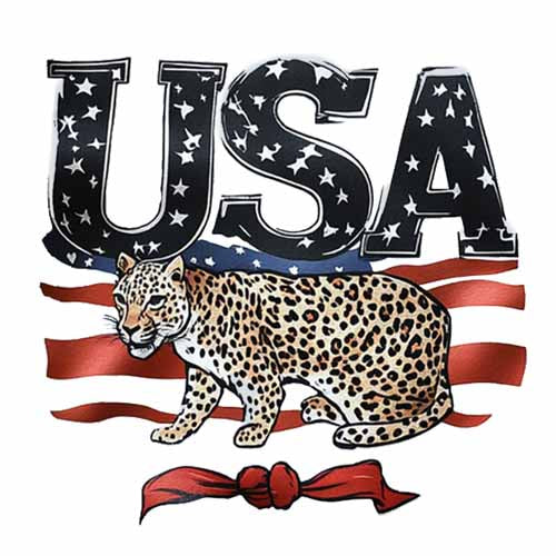 4th of july817