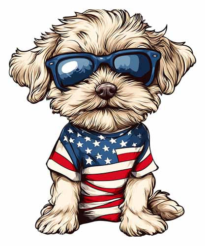 4th of july84