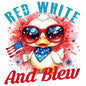 4th of july844