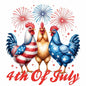 4th of july846