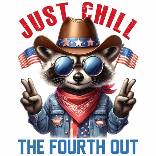 4th of july849