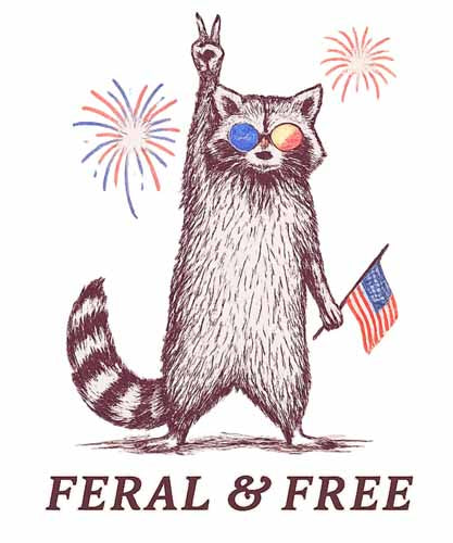 4th of july85