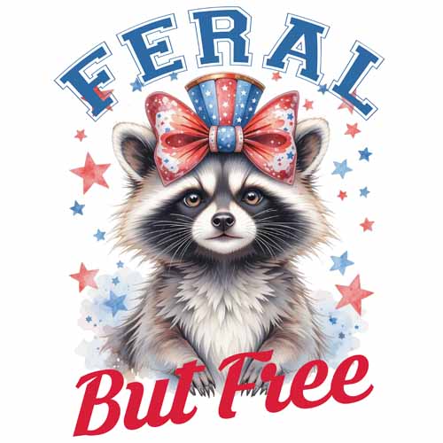 4th of july852