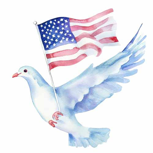 4th of july858