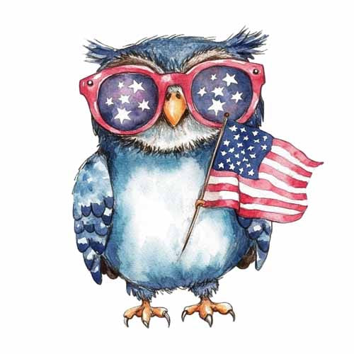 4th of july873